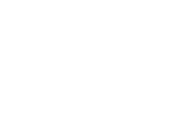 Logo footer